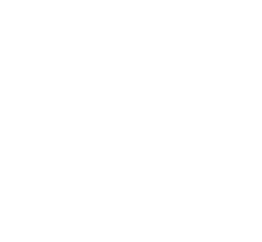 Logo p1 Studio