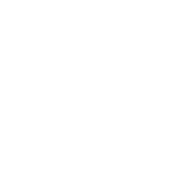 The Maze logo